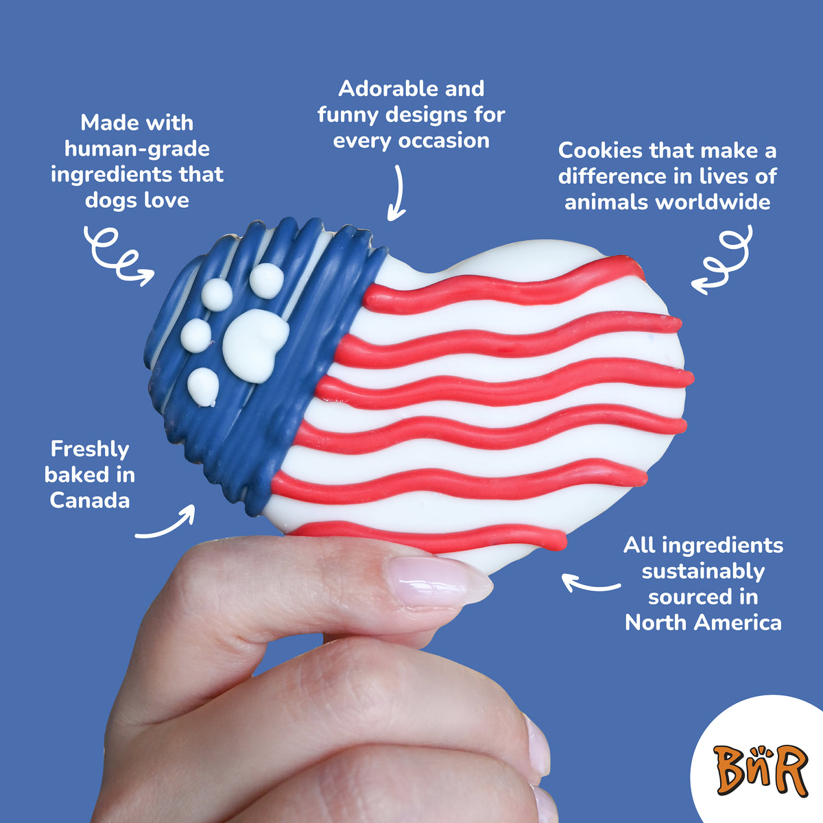 Dog Bless America 6 Inch Bone | 4th of July
