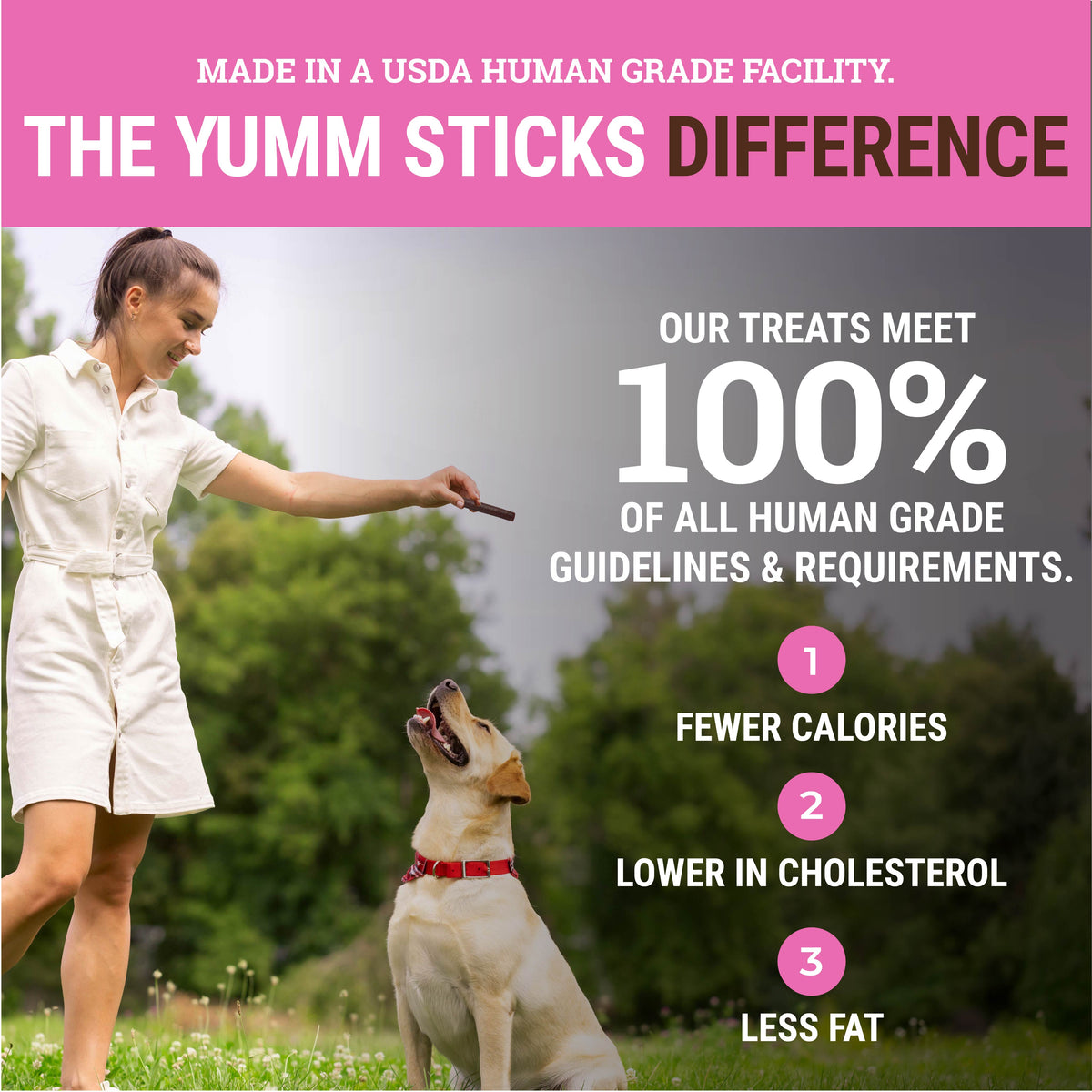Pork | Yumm Sticks