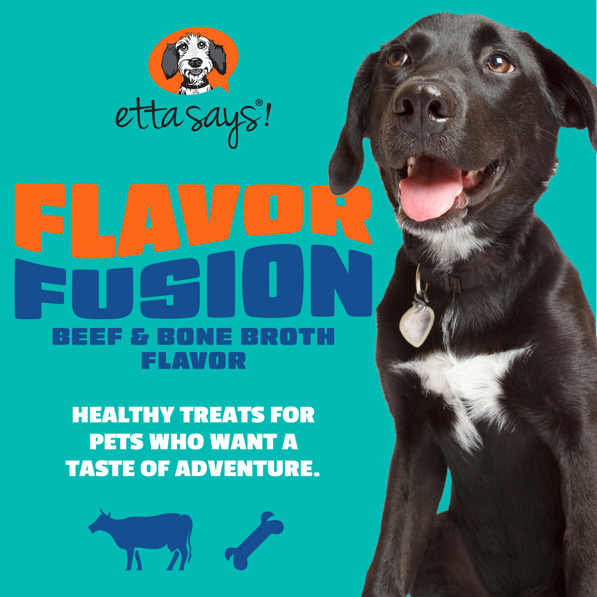 Beef & Bone Broth | Flavour Fusion Chew 2oz