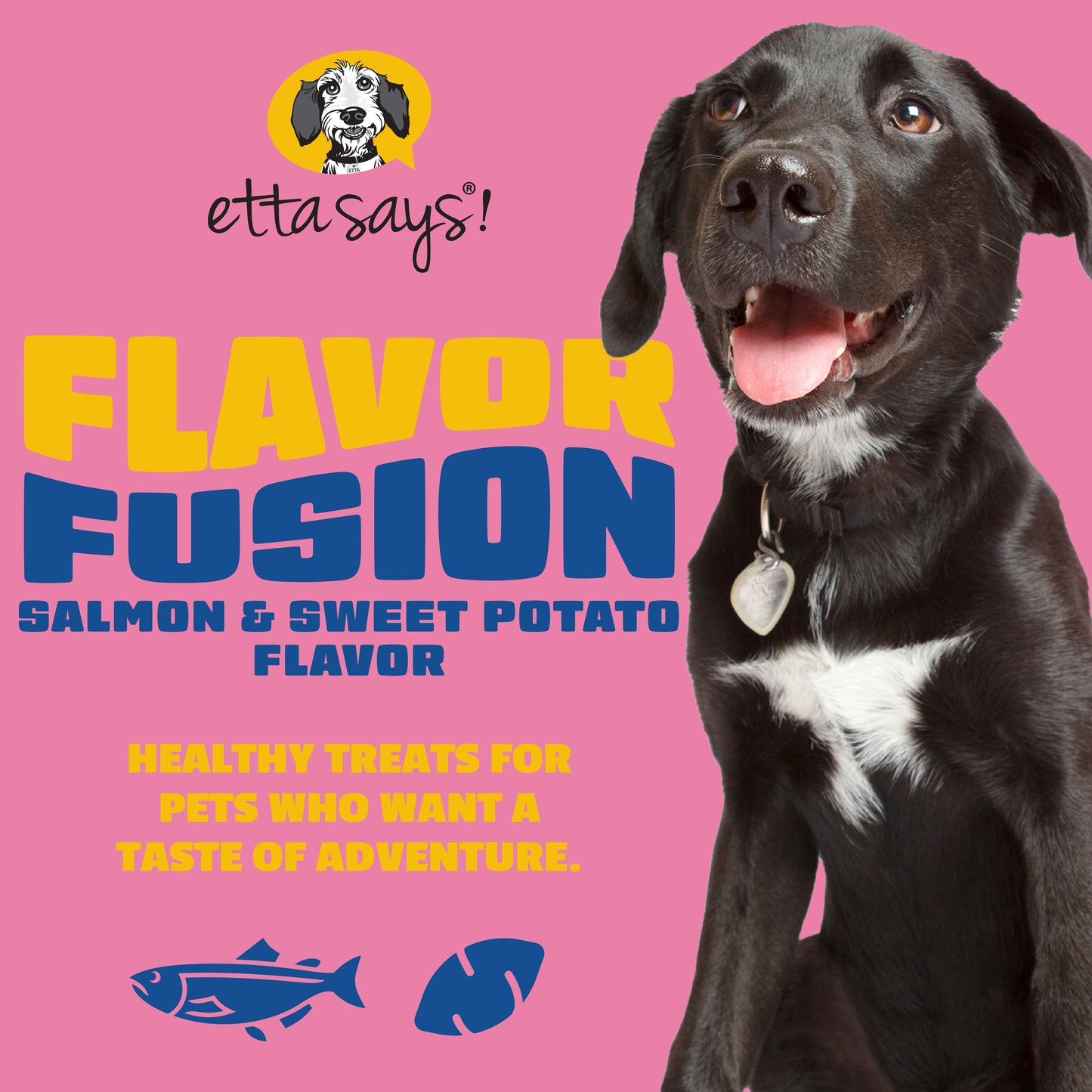 Salmon & Sweet Potato | Flavour Fusion Chew 2oz
