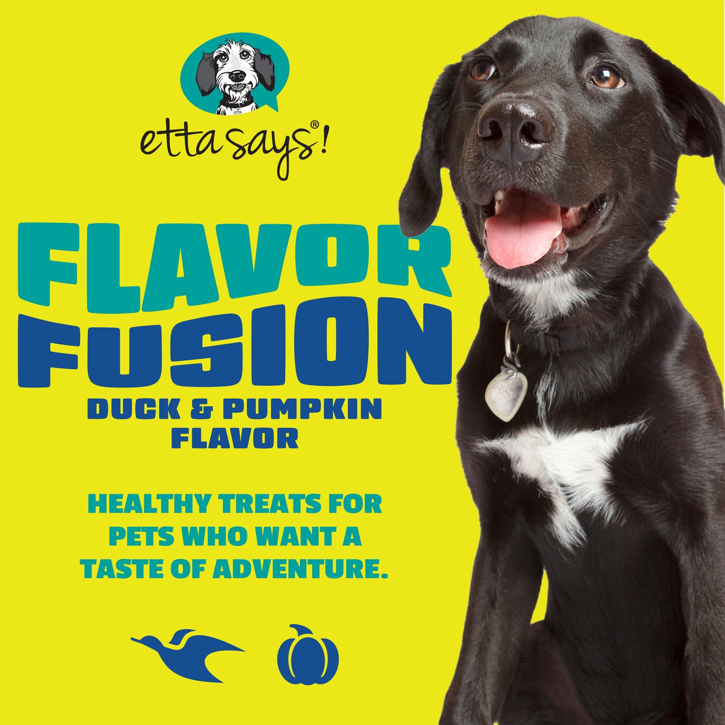 Duck & Pumpkin | Flavour Fusion Chew 2oz
