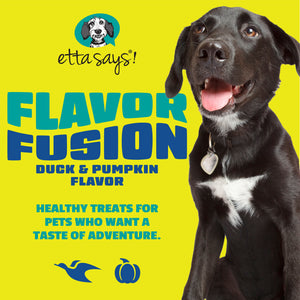 Duck & Pumpkin | Flavour Fusion Chew 2oz