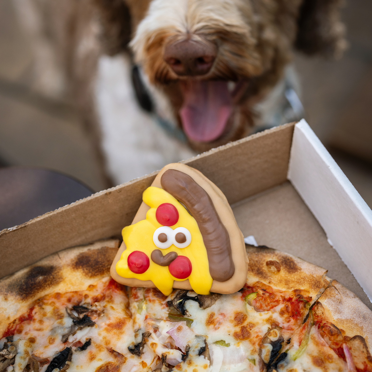 Have a Slice Day | Woof it Down