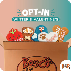 BNR Refill Program 2026 | Winter & Valentine's Day