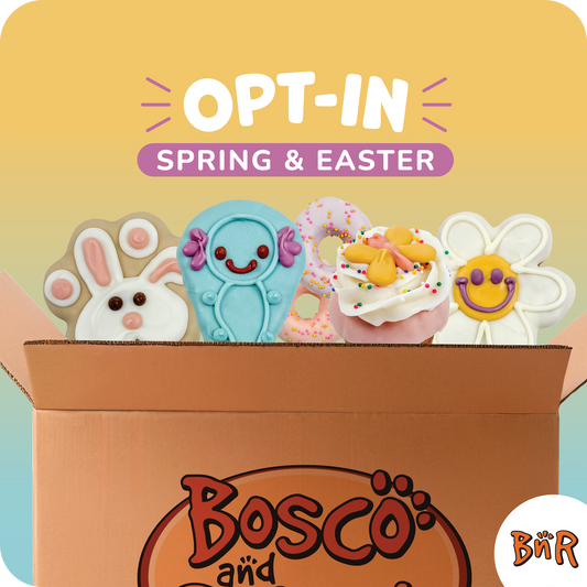 BNR Refill Program 2026 | Easter & Spring