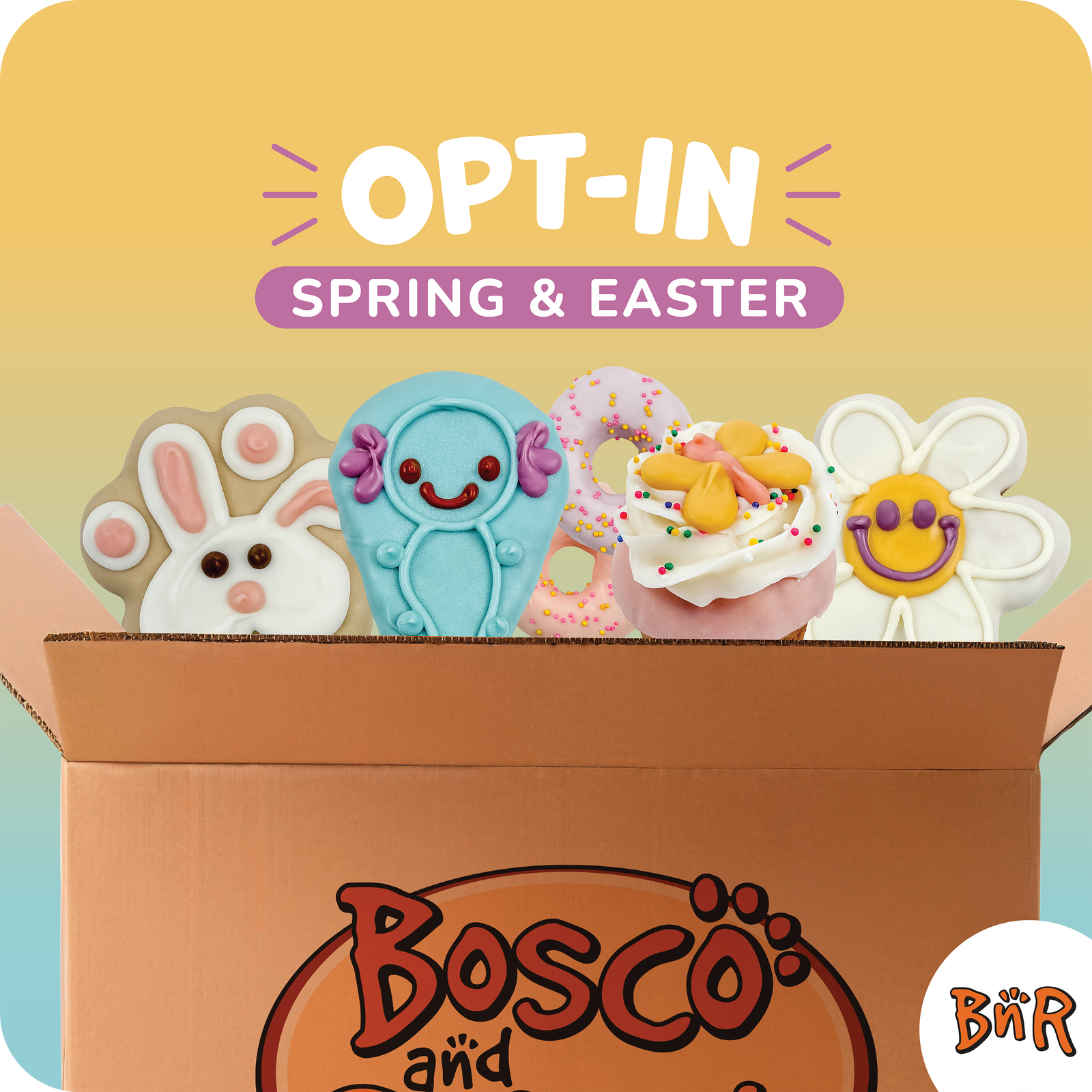 BNR Refill Program 2026 | Easter & Spring