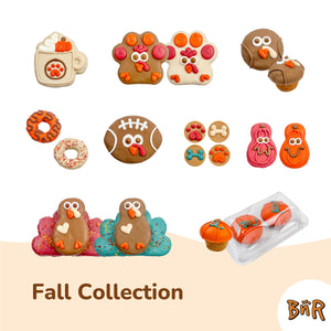 Pumpkins with Specs Appeal  | Fall