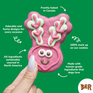 Just Carrot Live without Horses | Farm Fresh