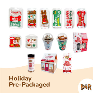 Santa's Workshop Holiday Cookie Decorating Kit | Christmas Pre-Packaged