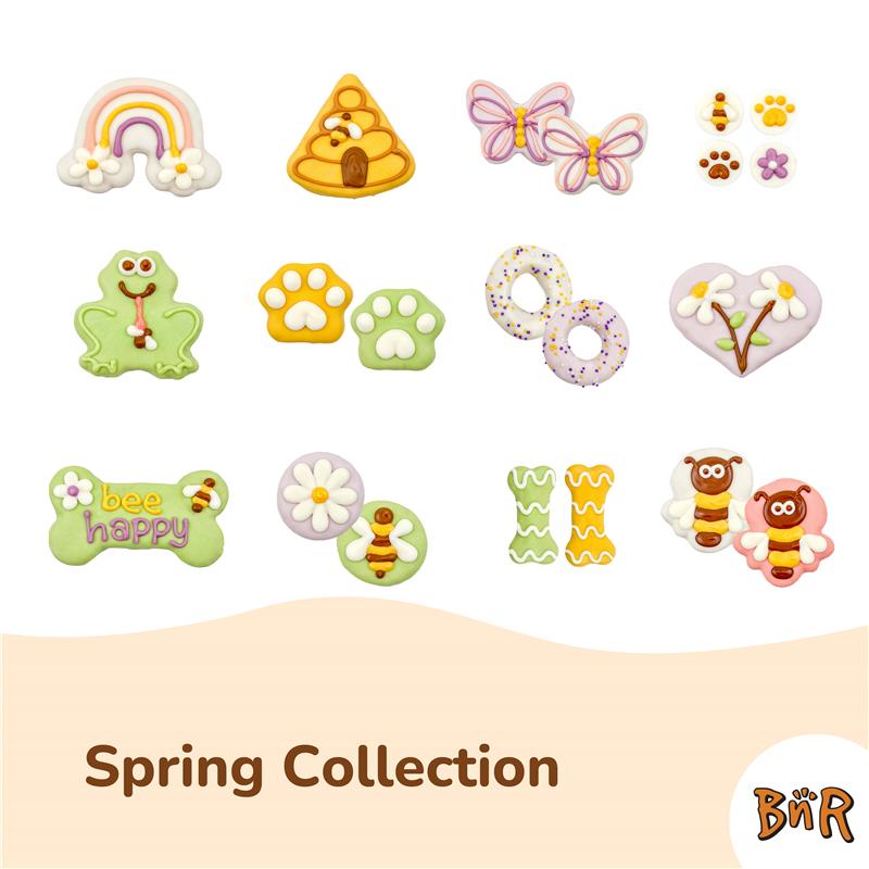 Ribbit Fly Catcher | Spring - Bosco and Roxy's Inc.