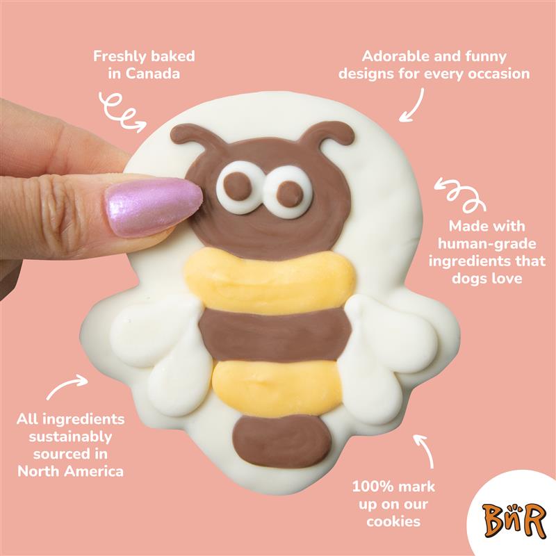 Ribbit Fly Catcher | Spring - Bosco and Roxy's Inc.