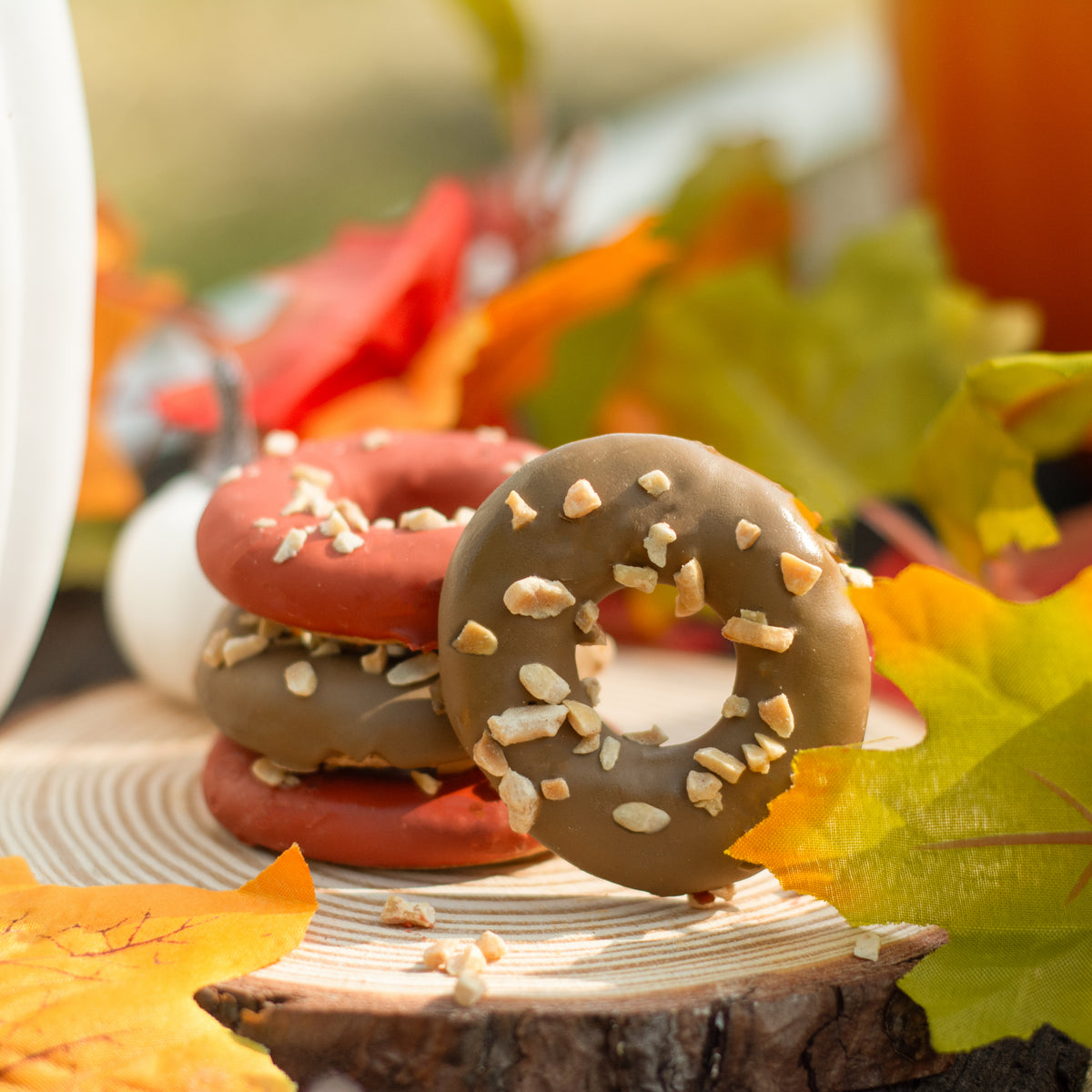 Paw-tumn Delight Donuts | Fall