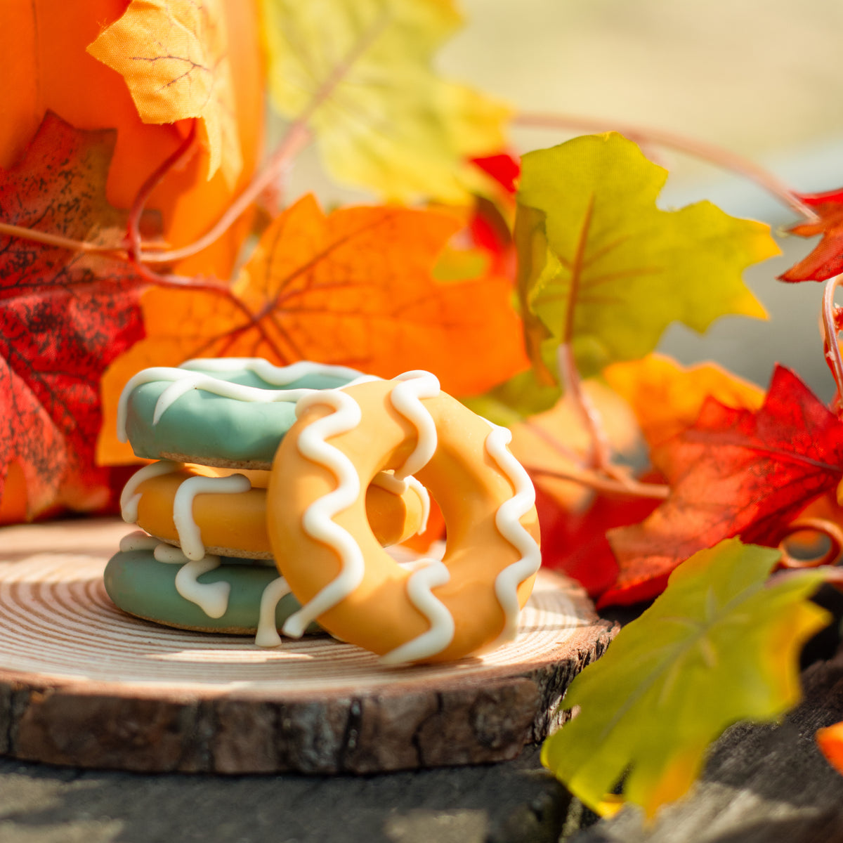 Paw-tumn Delight Donuts | Fall