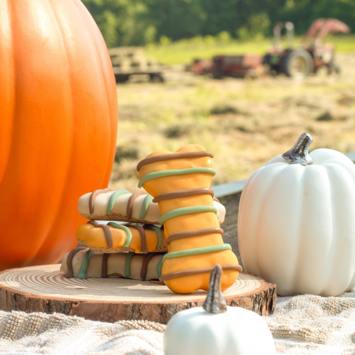 Hayride Humerus | Fall