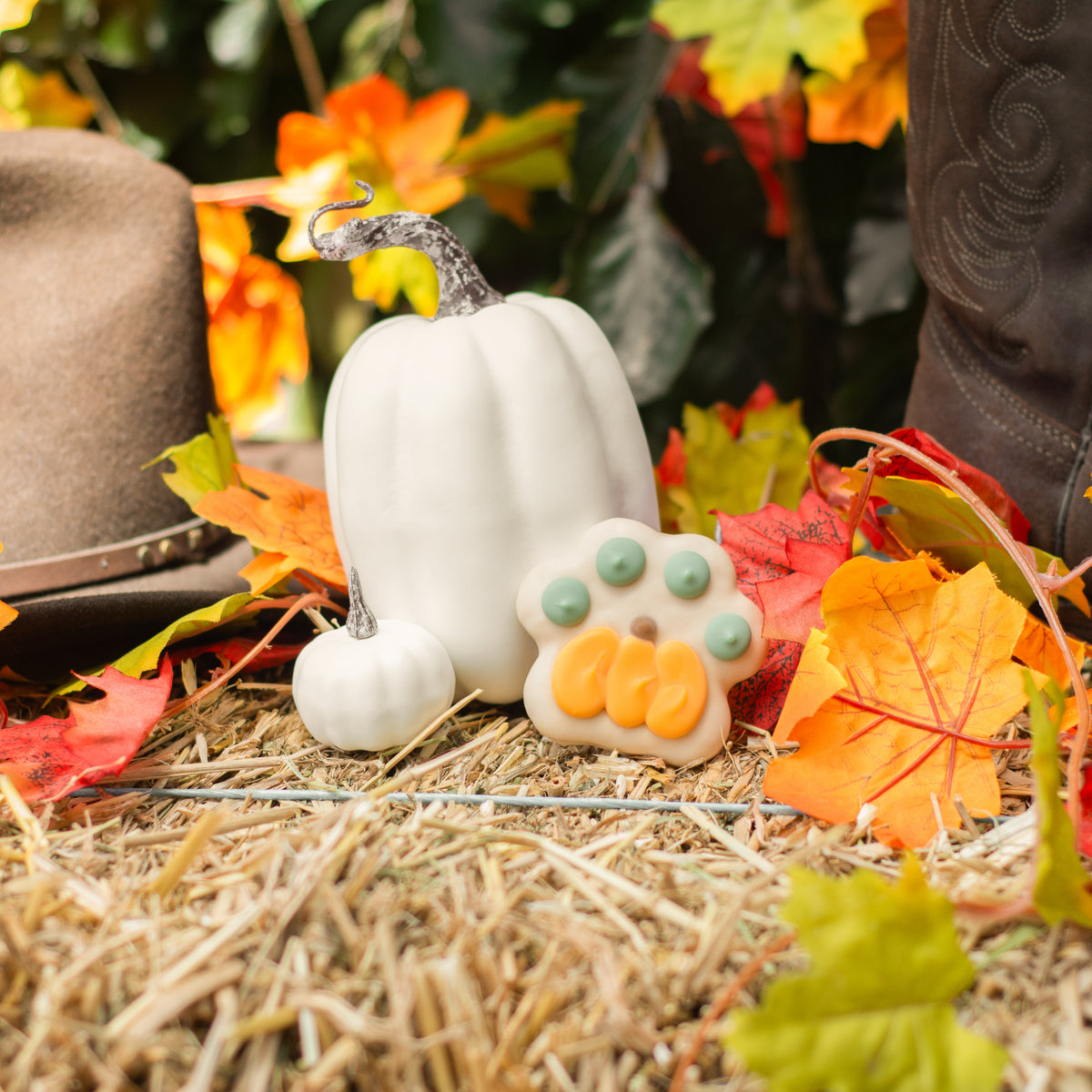 The Great Pawmpkin | Fall