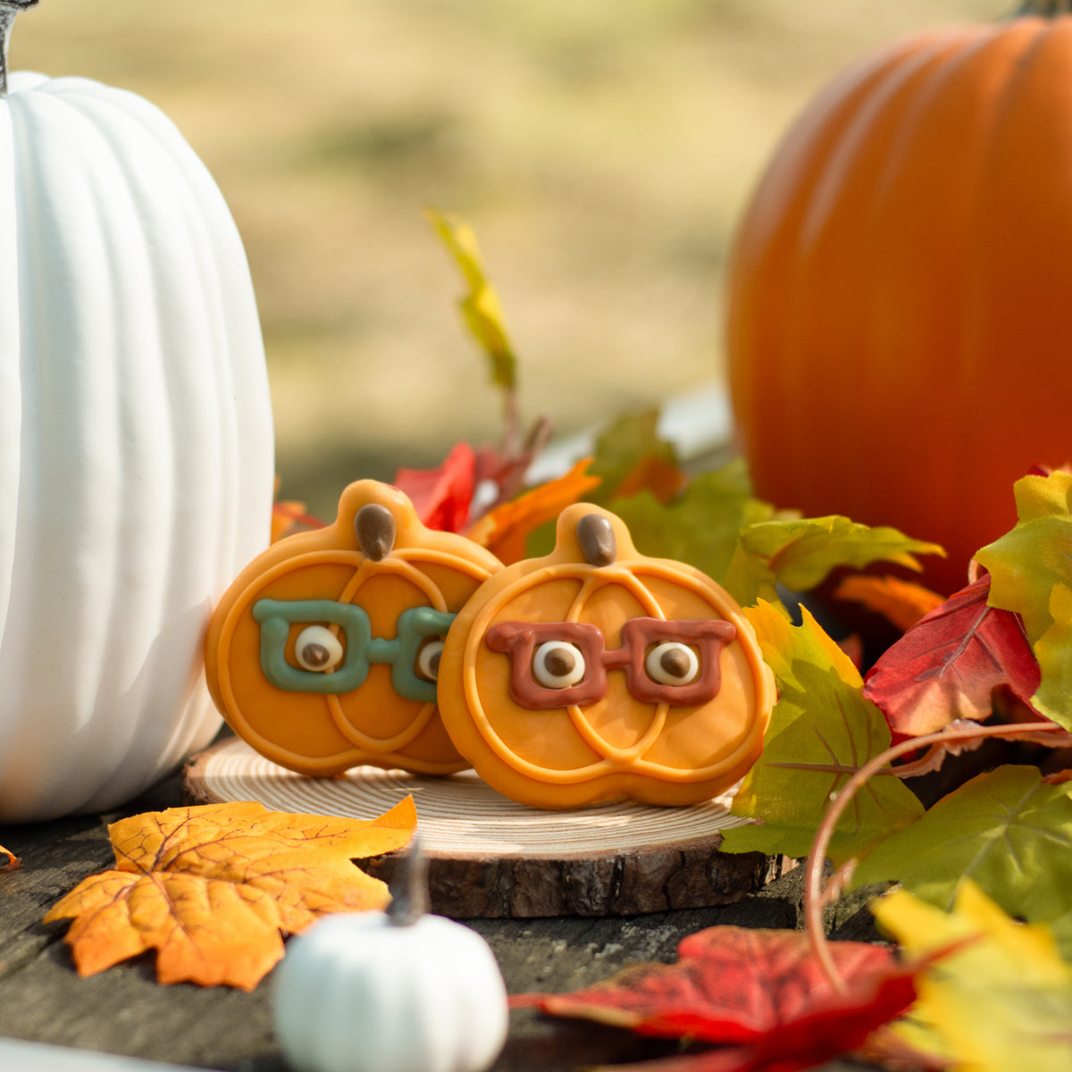 Mr. Specs & Mrs. Spice | Fall
