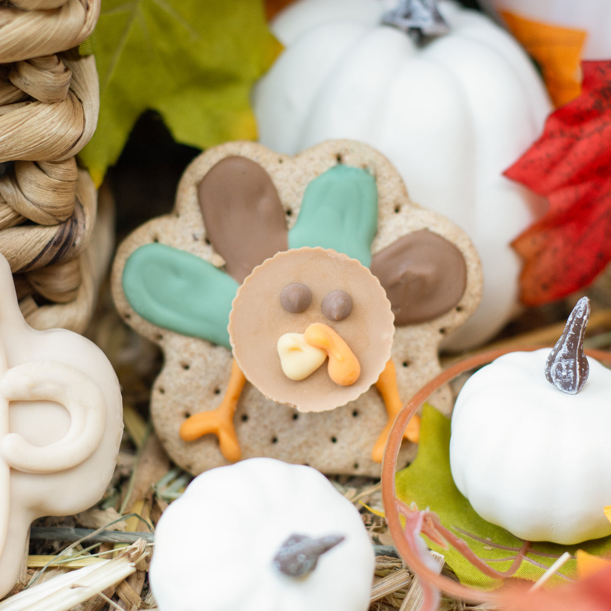 Kenny and Sammy | Fall