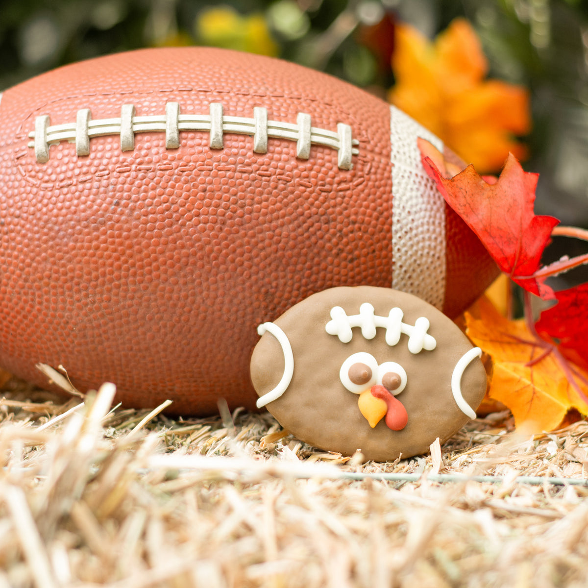 NATURAL Turkey Bowl | Fall