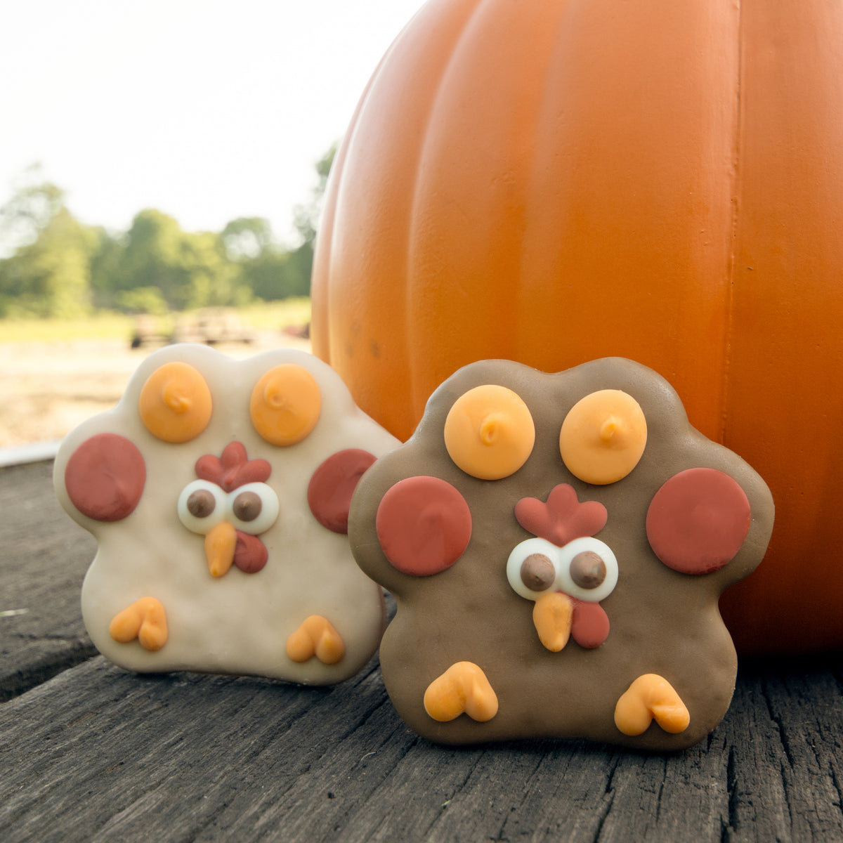 NATURAL Gobble Til You Wobble | Fall