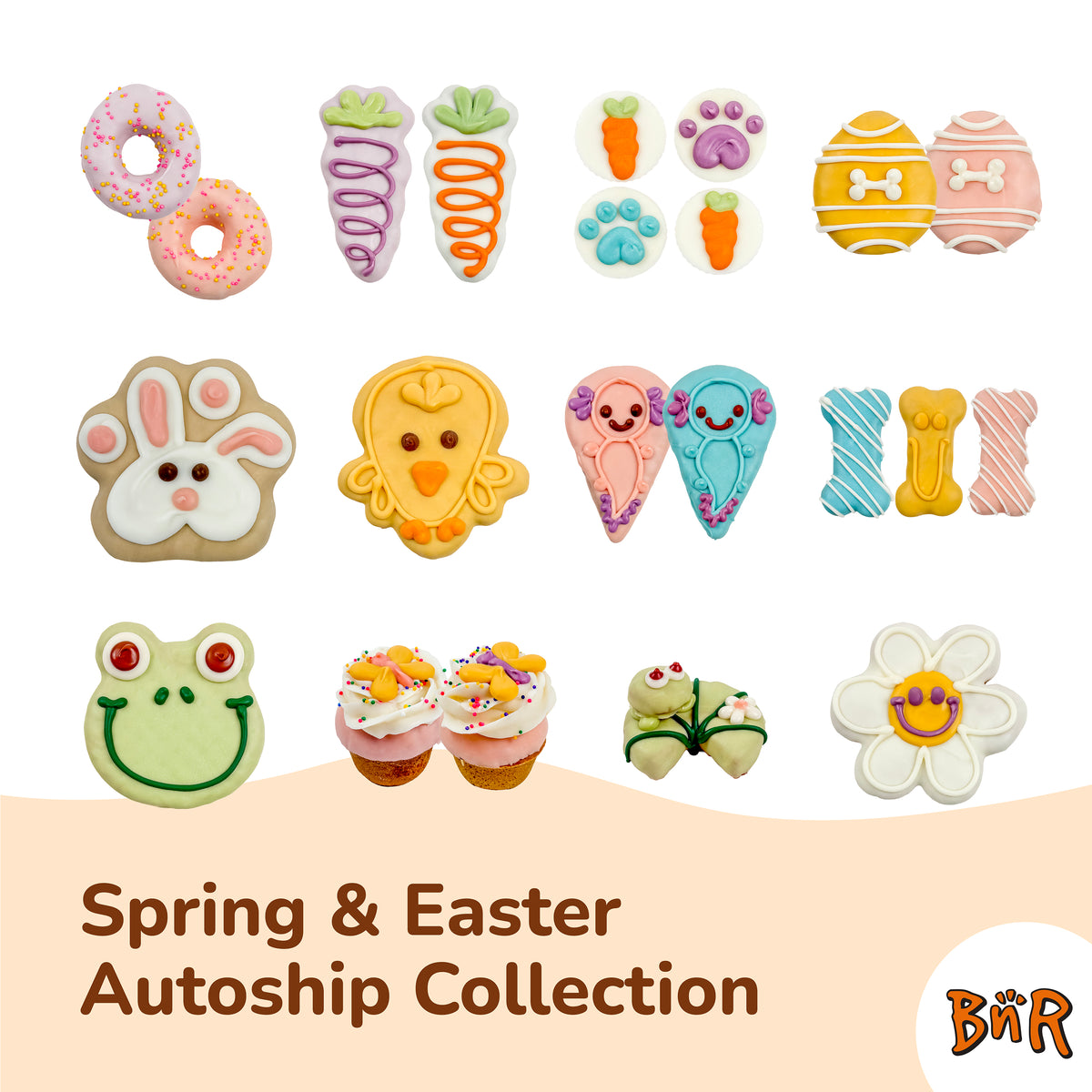 BNR Refill Program 2026 | Easter & Spring