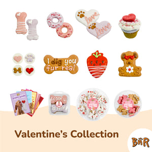 Smitten Bones | Valentine's Day