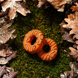 Harvest Moon Donuts | Fall