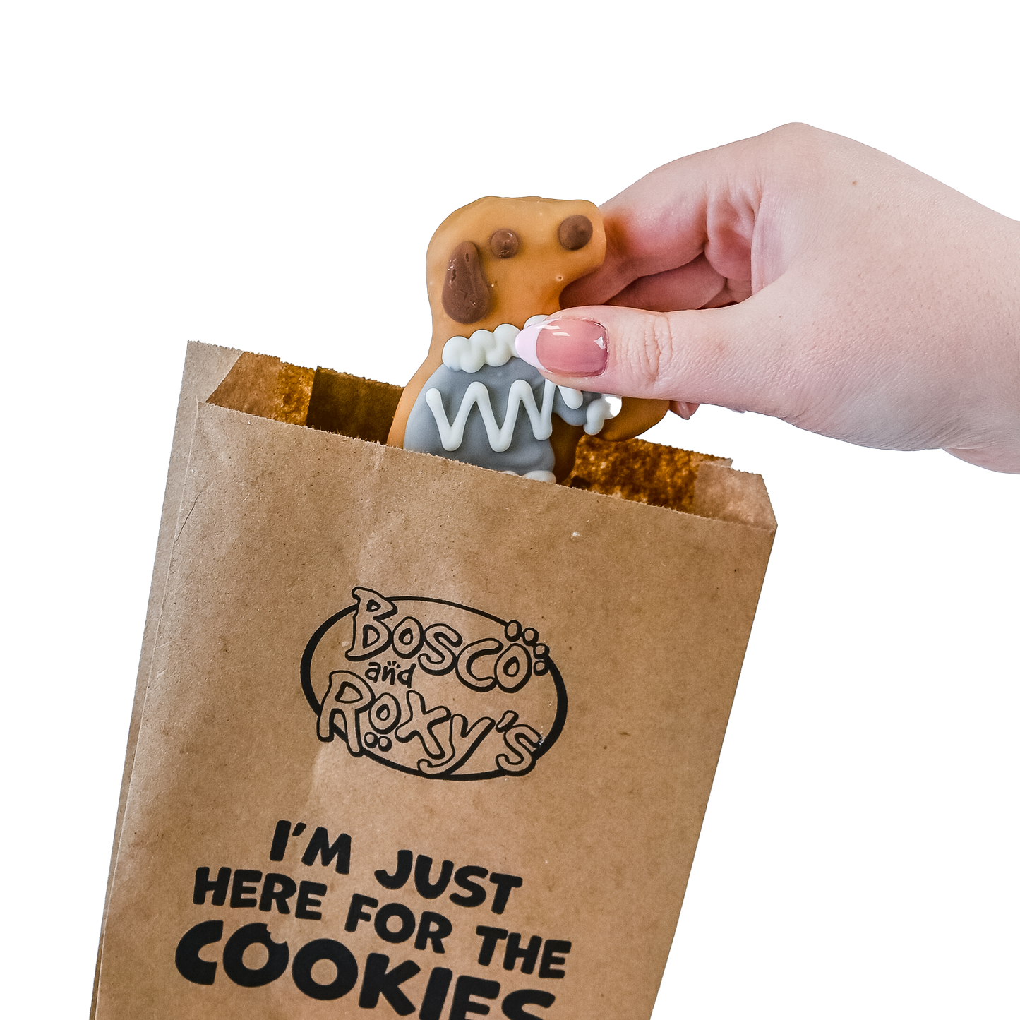 BNR Brown Kraft Treat Bag - Bundle of 50 | 6"x 9"