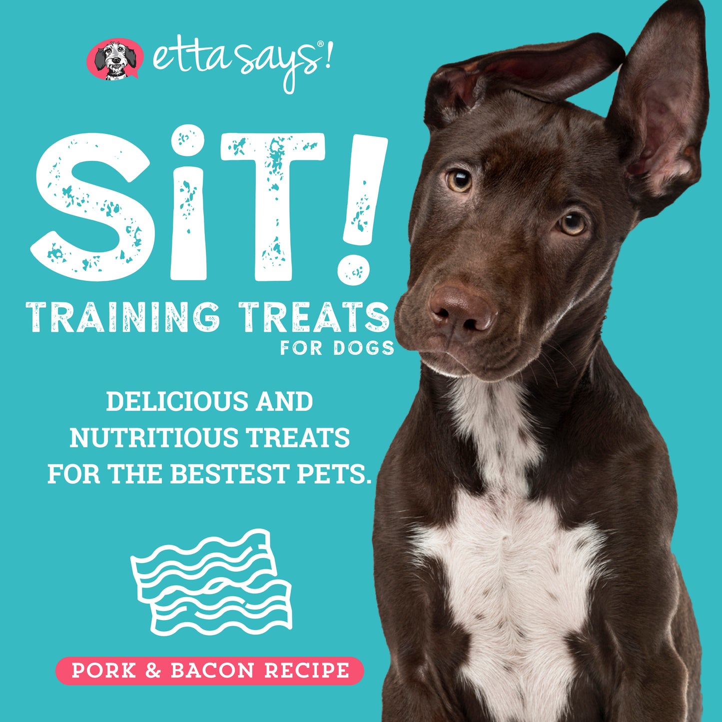 Bacon | Sit! Training Treats 6oz