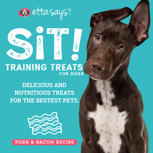 Bacon | Sit! Training Treats 6oz