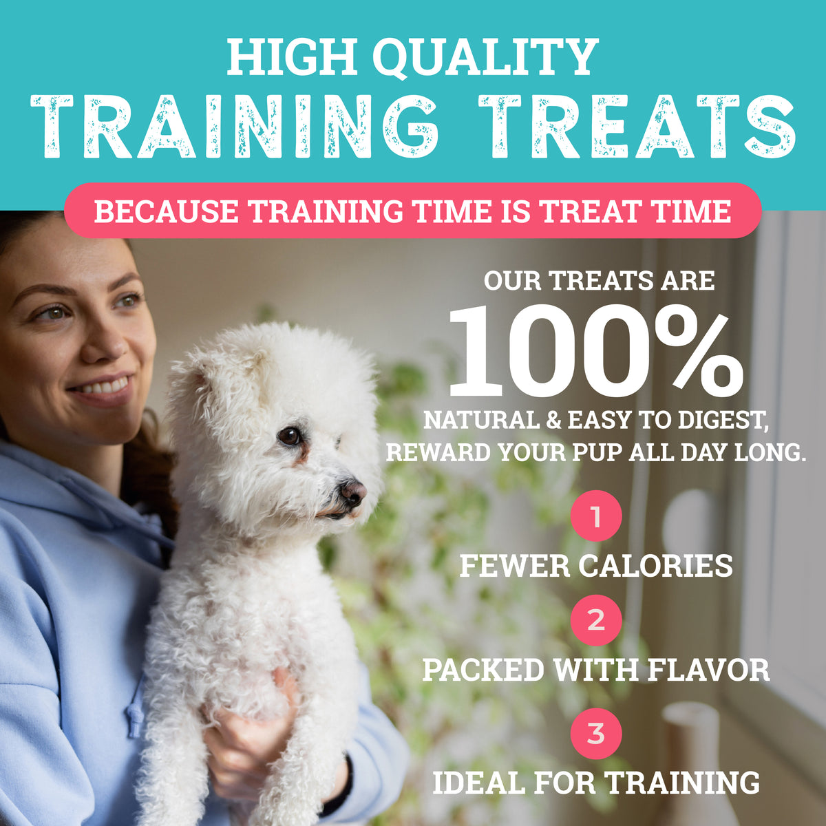 Bacon | Sit! Training Treats 6oz