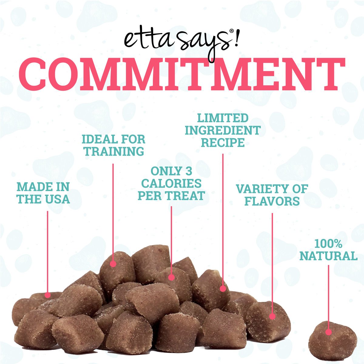 Bacon | Sit! Training Treats 6oz