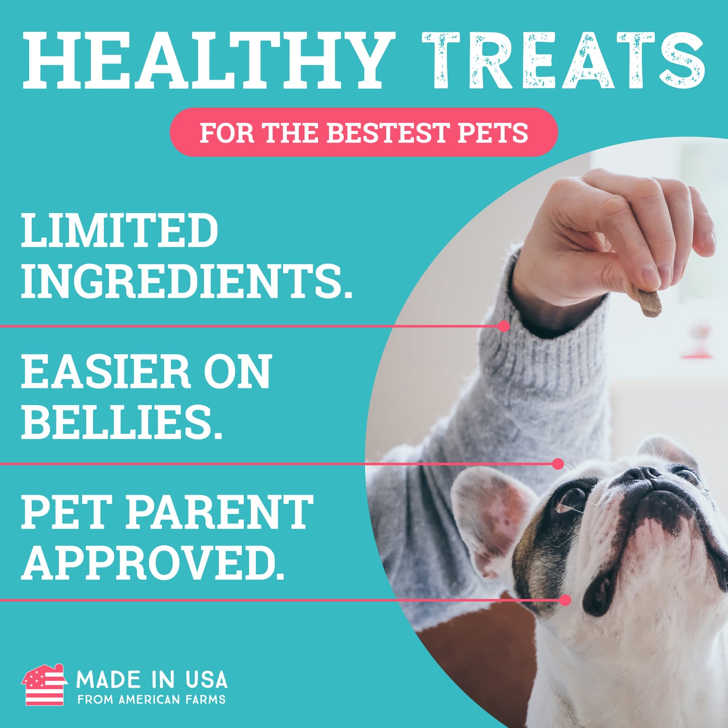 Bacon | Sit! Training Treats 6oz