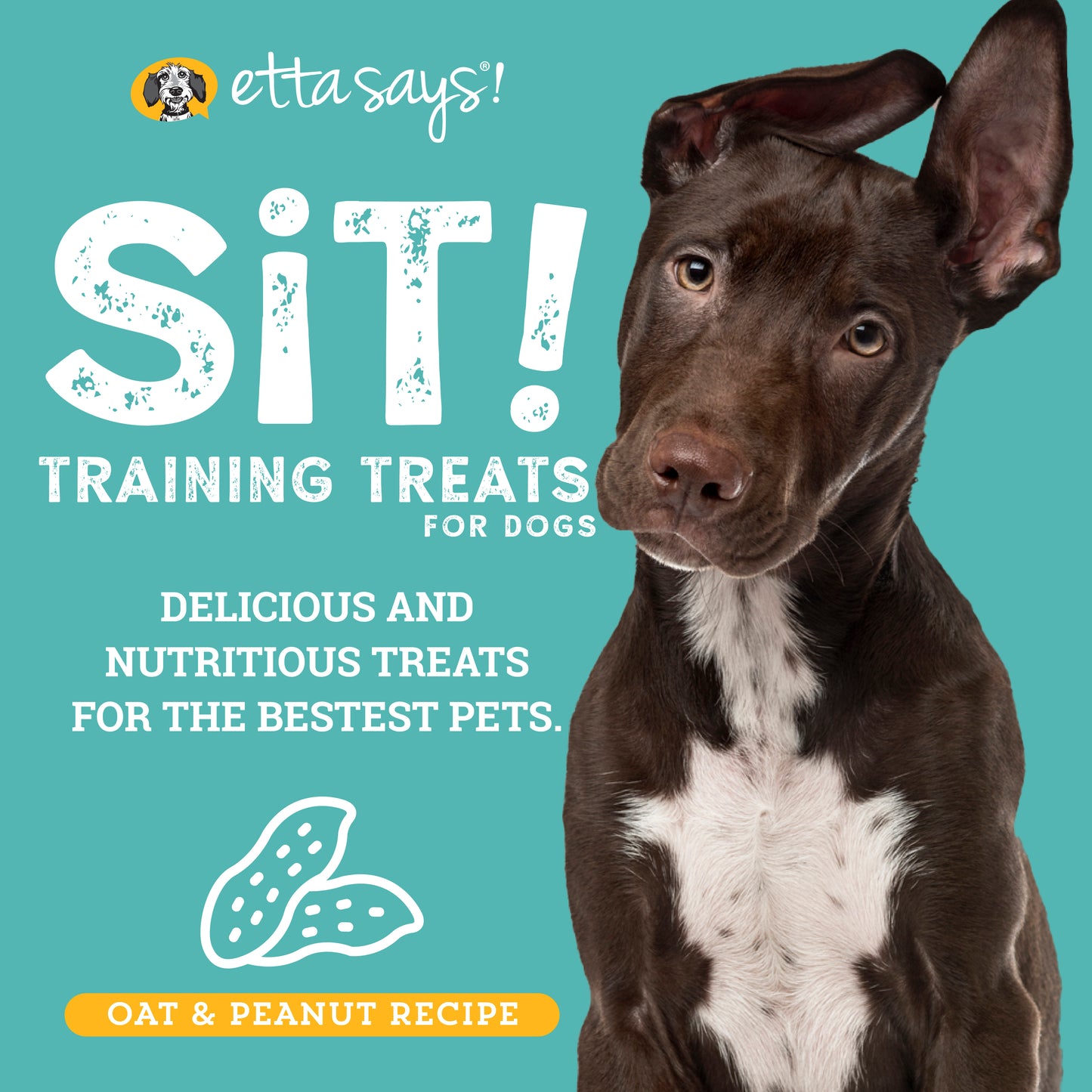 Peanut Butter | Sit! Training Treats 6oz