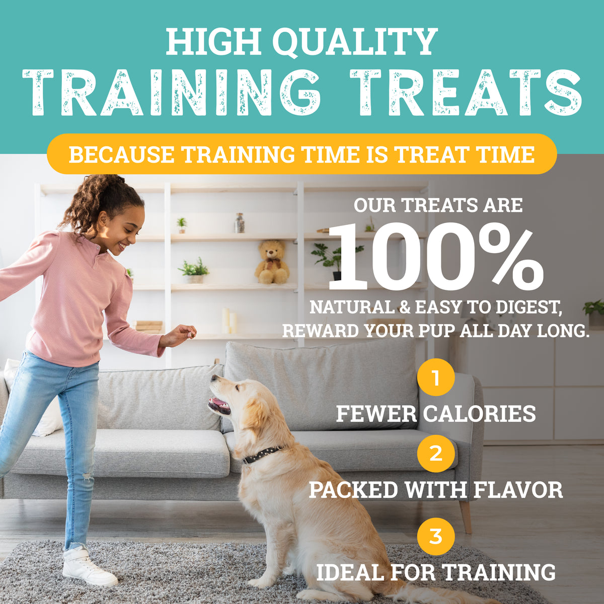 Peanut Butter | Sit! Training Treats 6oz