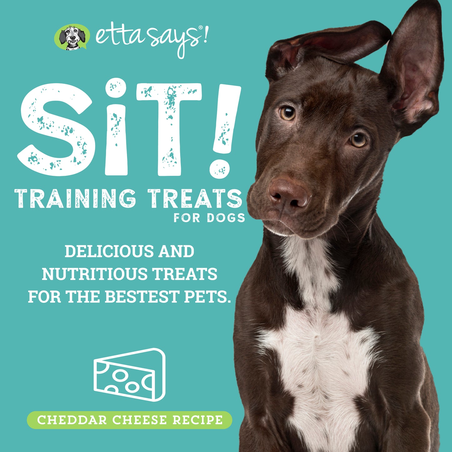 Cheese | Sit! Training Treats 6oz