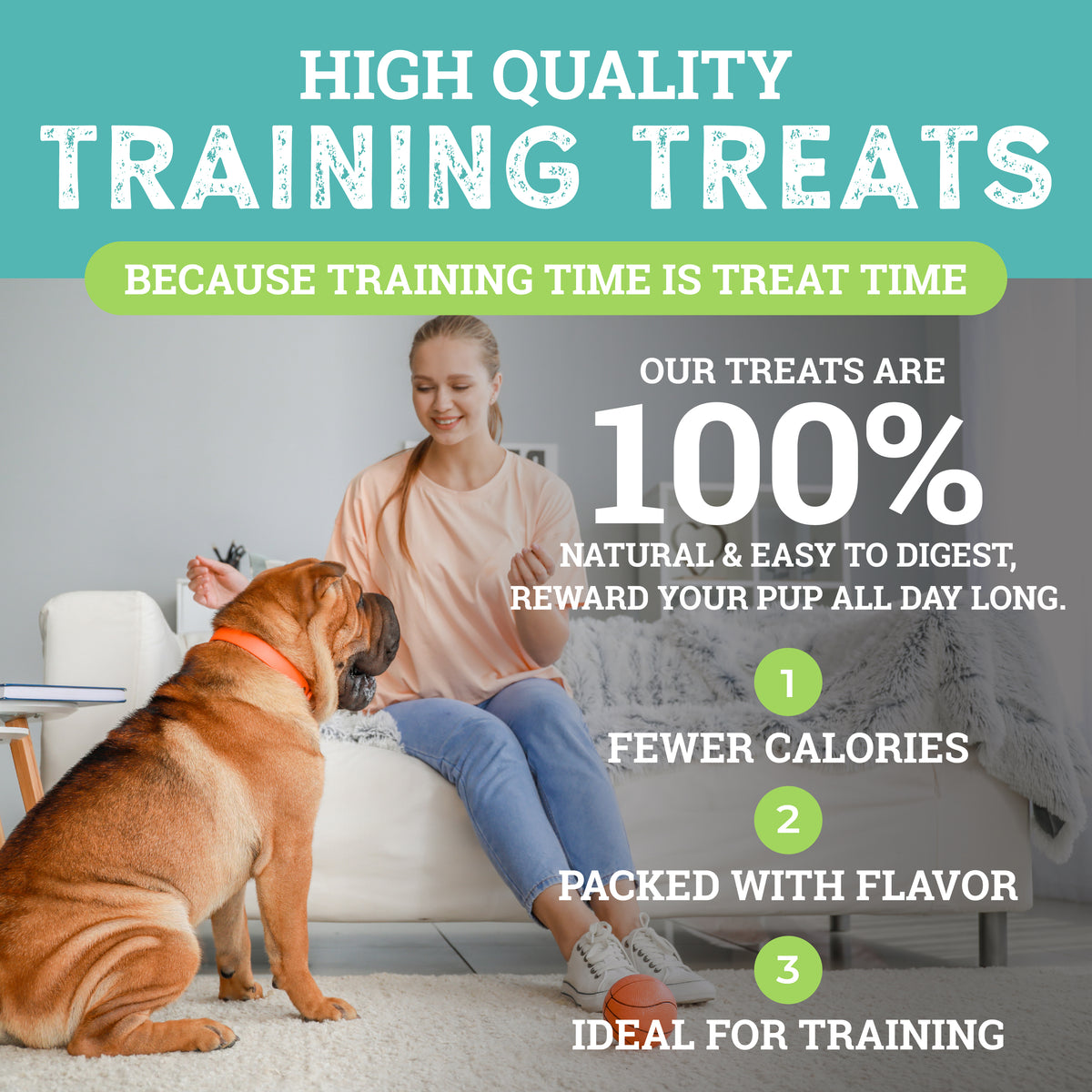 Cheese | Sit! Training Treats 6oz