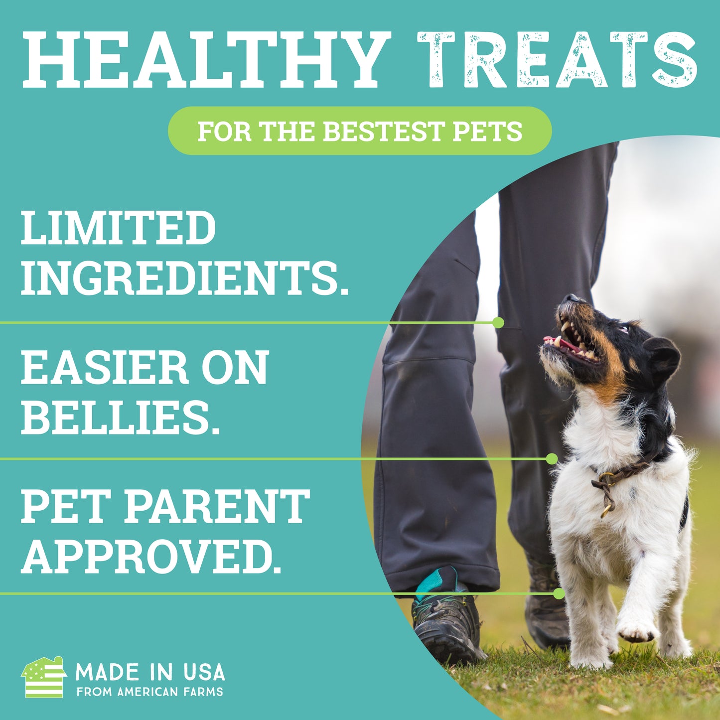 Cheese | Sit! Training Treats 6oz