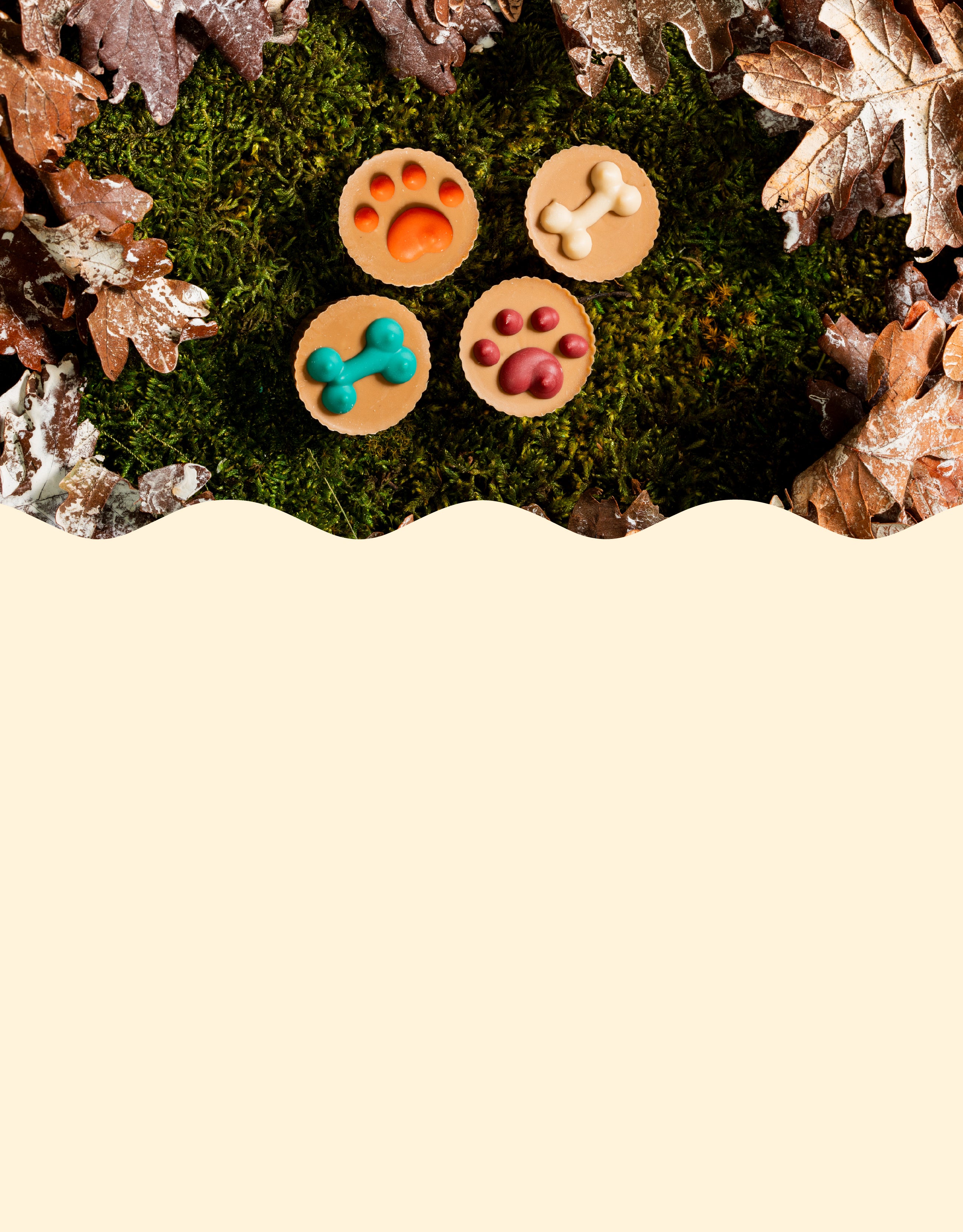 Bosco and Roxy's | Gourmet Dog Cookies