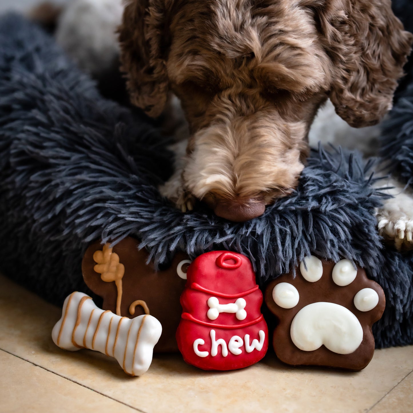 Dipped Bones | Canine Classics