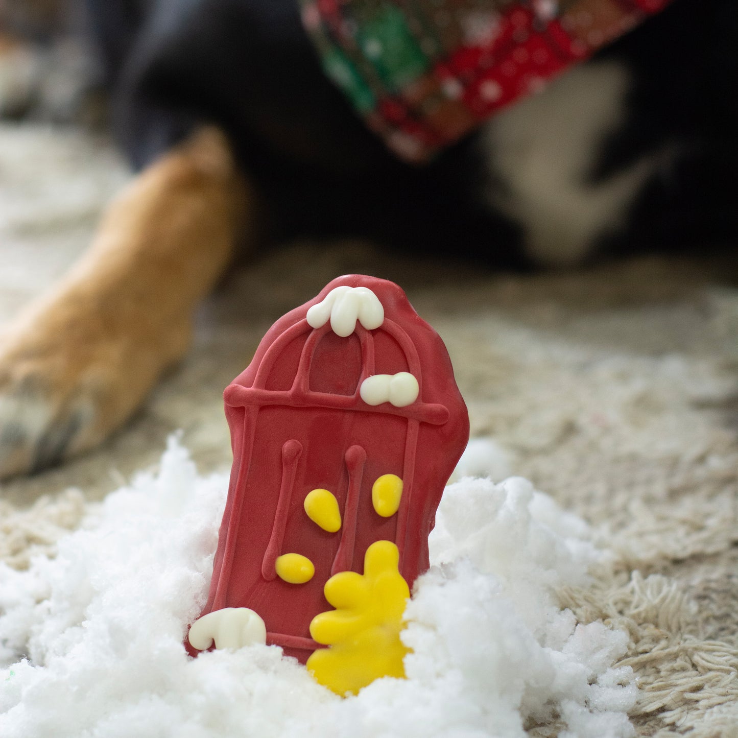 Snow Business | Winter Wonderland