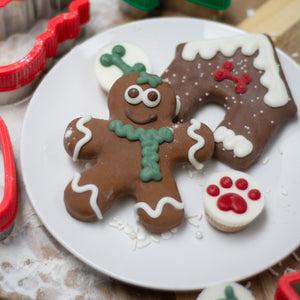 Feliz Navi-Dog! | Winter Wonderland
