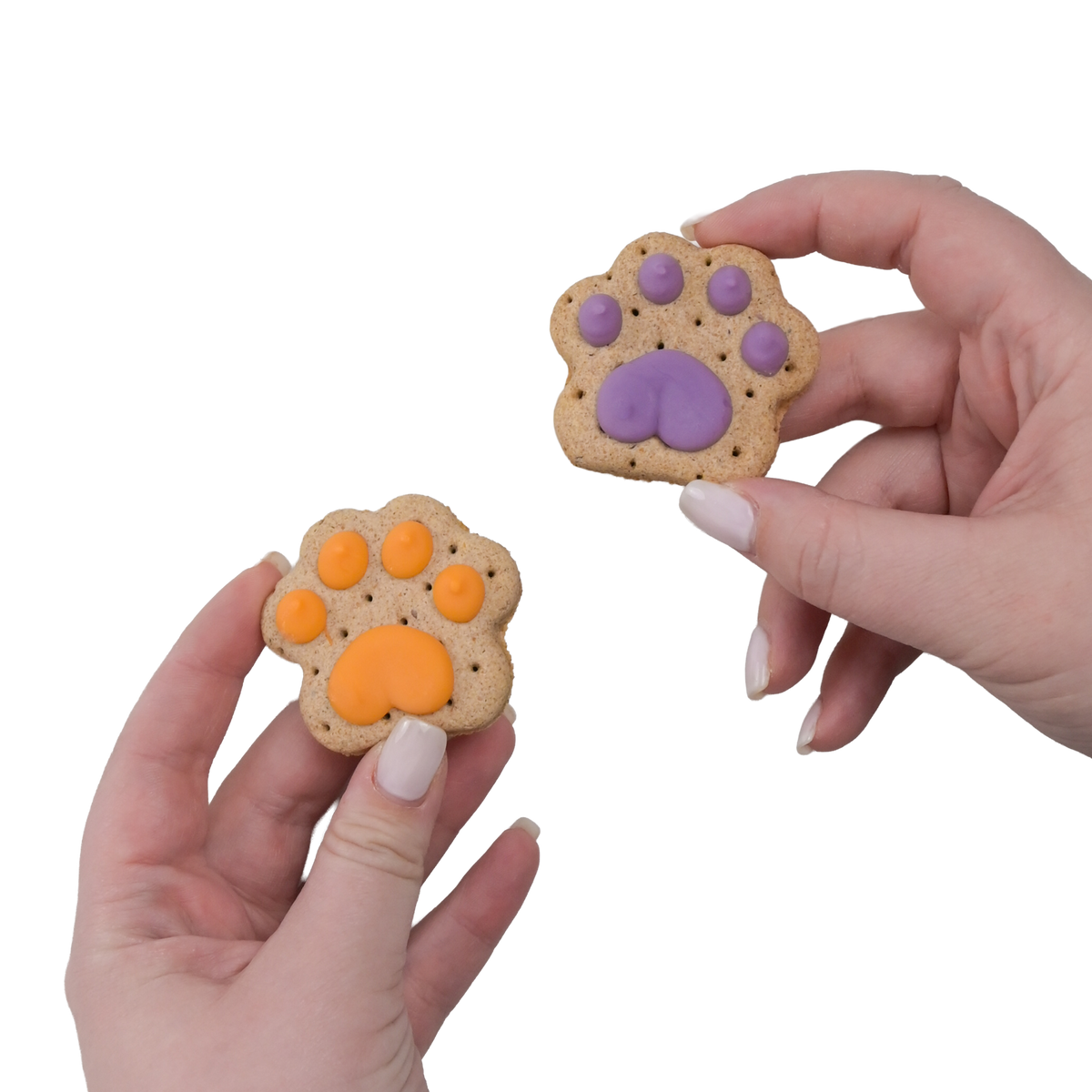 Let the Paw-nanigans Begin! | Natural Birthday