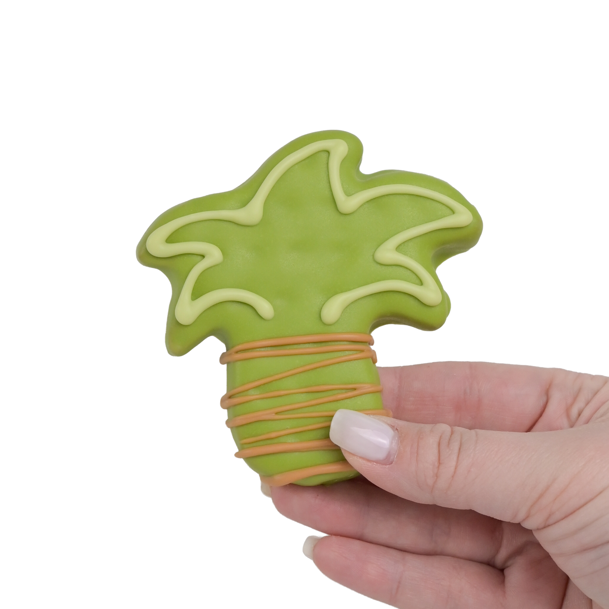 Palm Tree | Summer | Value