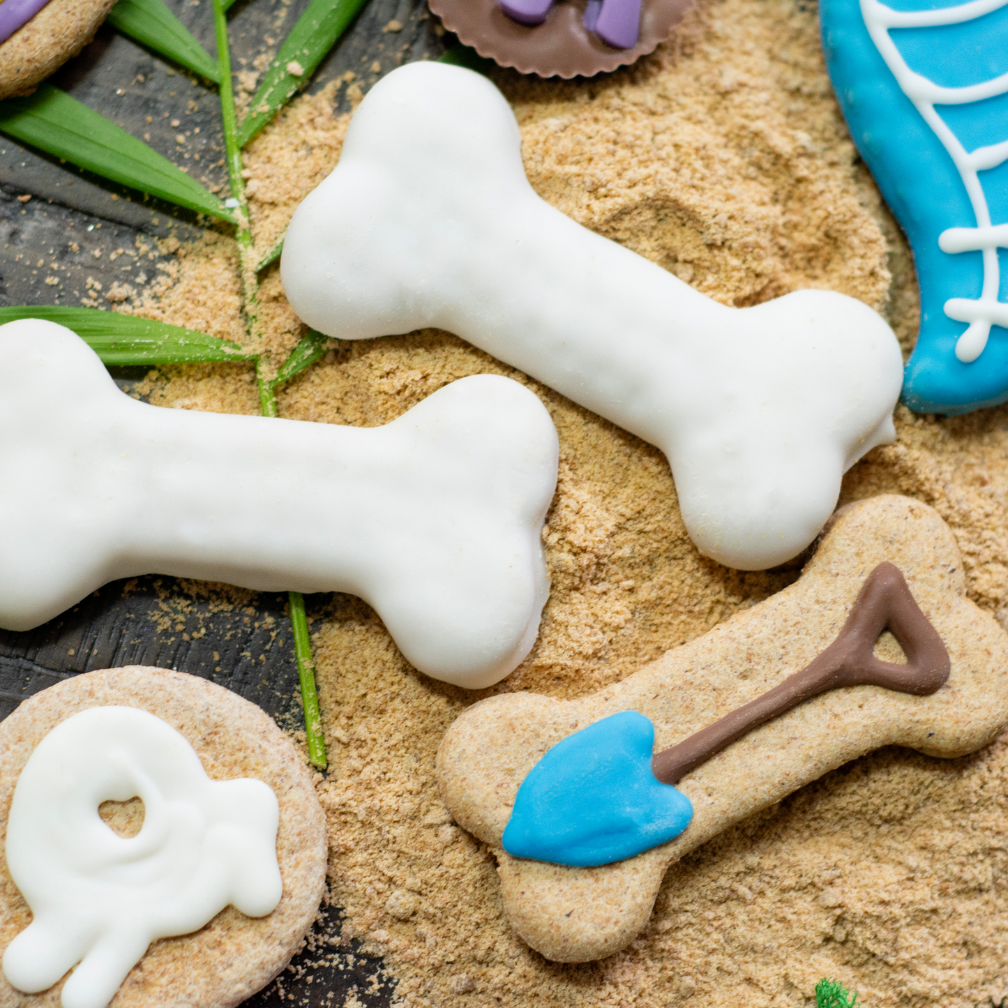 Prepackaged Bark-eology Kit | Dinosaurs