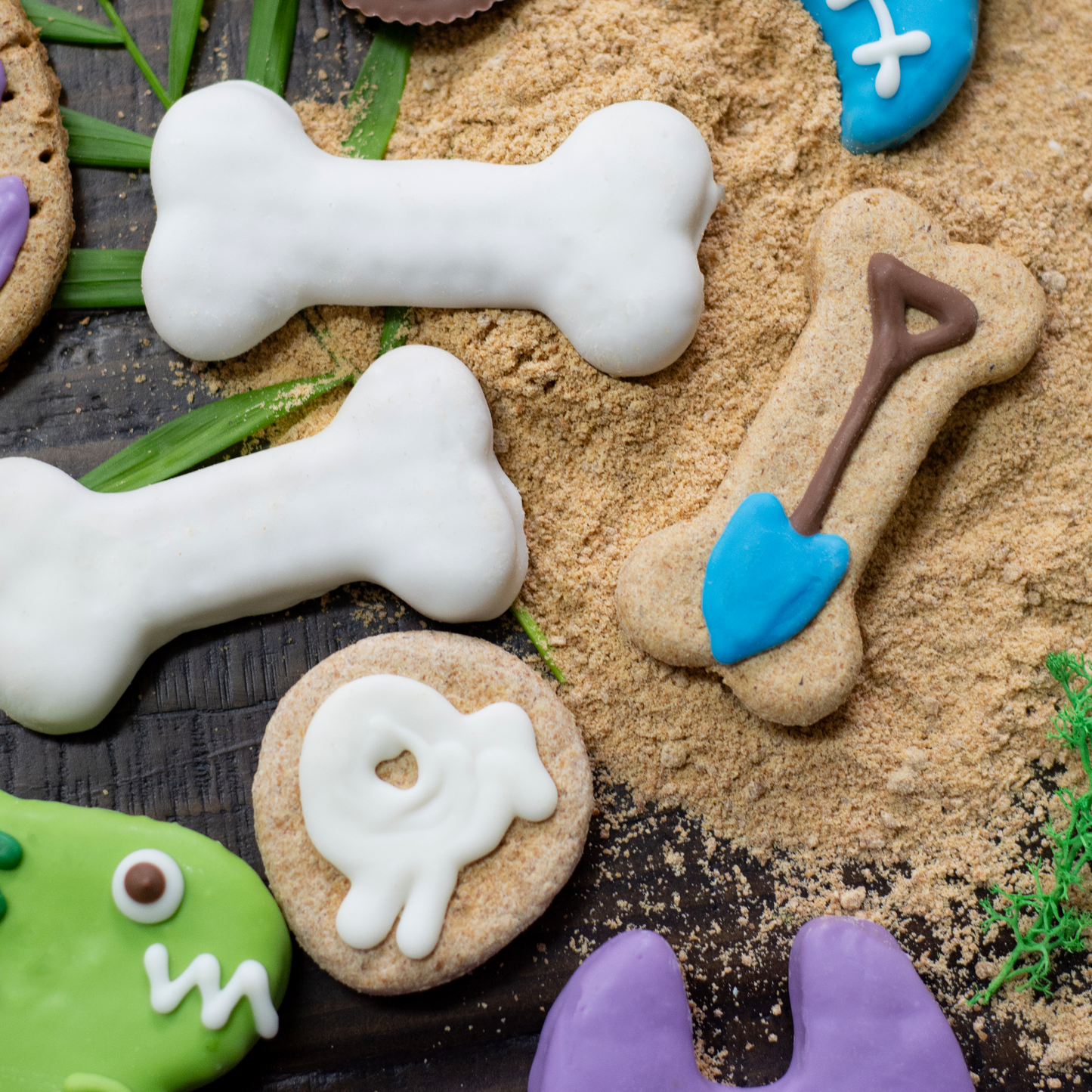 Prepackaged Bark-eology Kit | Dinosaurs