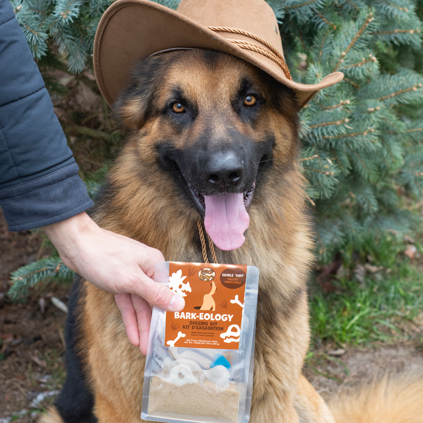 Prepackaged Bark-eology Kit | Dinosaurs