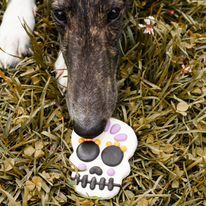 Sorta Sweet, Sorta Spooky Skulls | Halloween