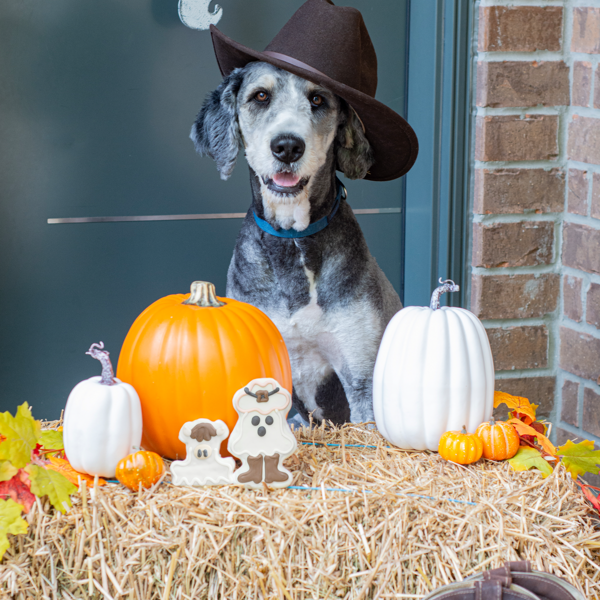 NATURAL Sheruff of Spooksville | Halloween
