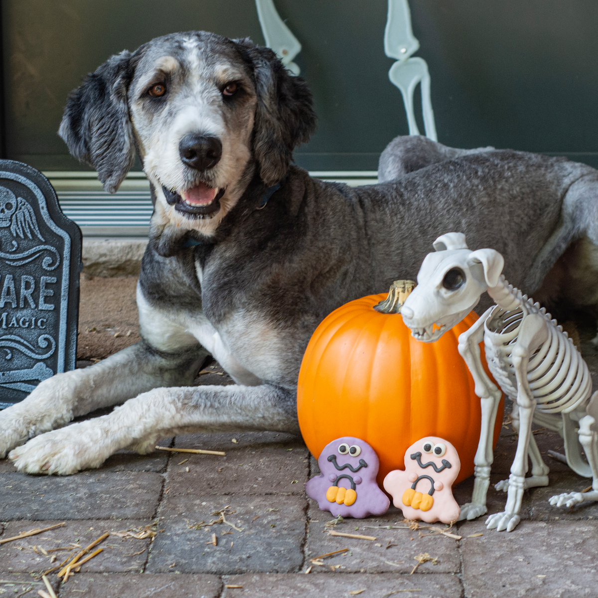 NATURAL Haunted Handouts | Halloween