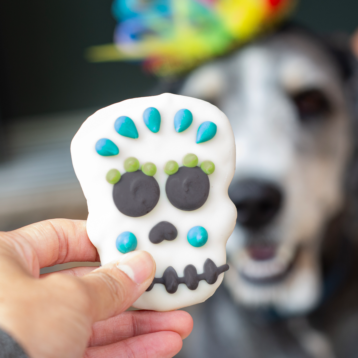Dead Man's Chew | Halloween